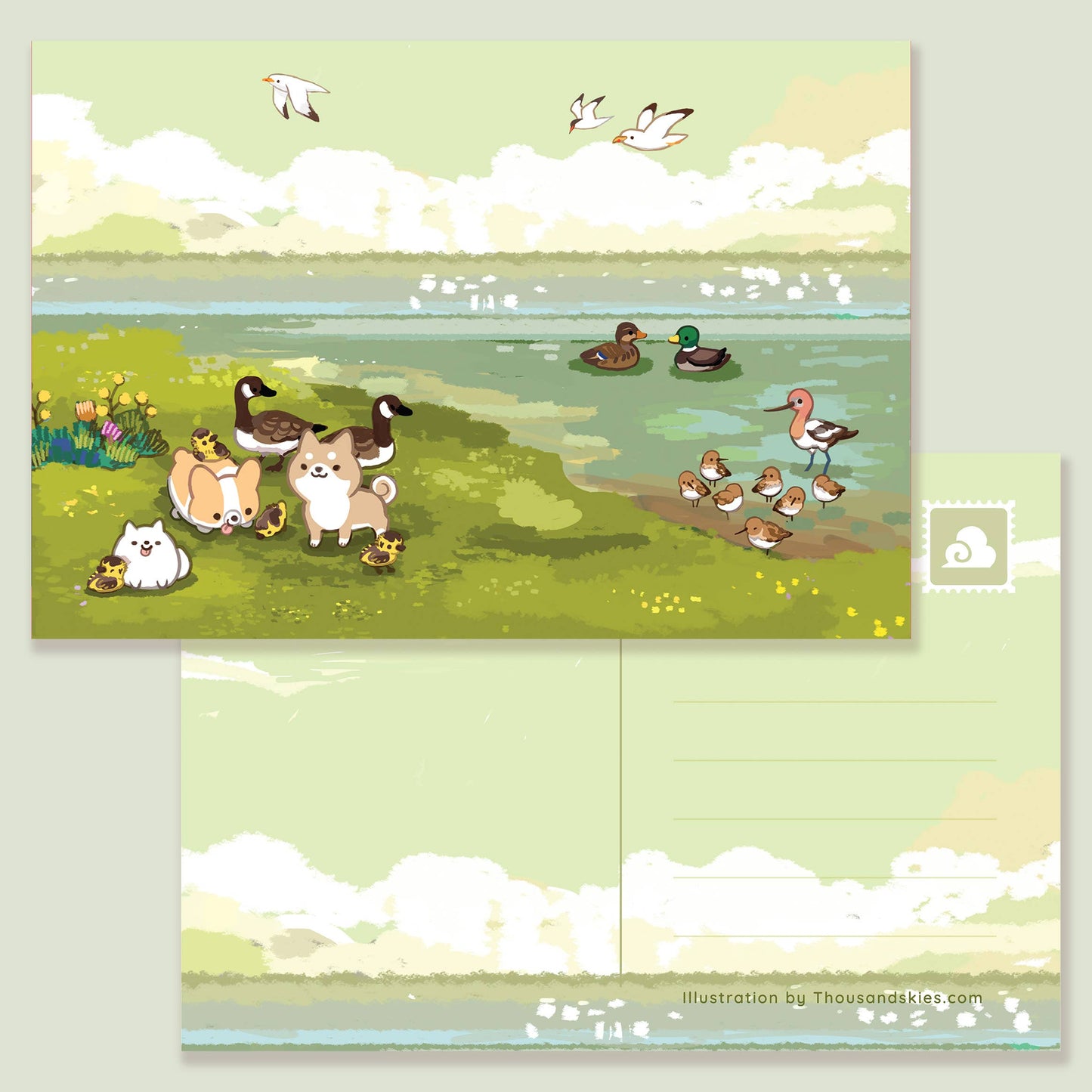 Postcard By the Shoreline