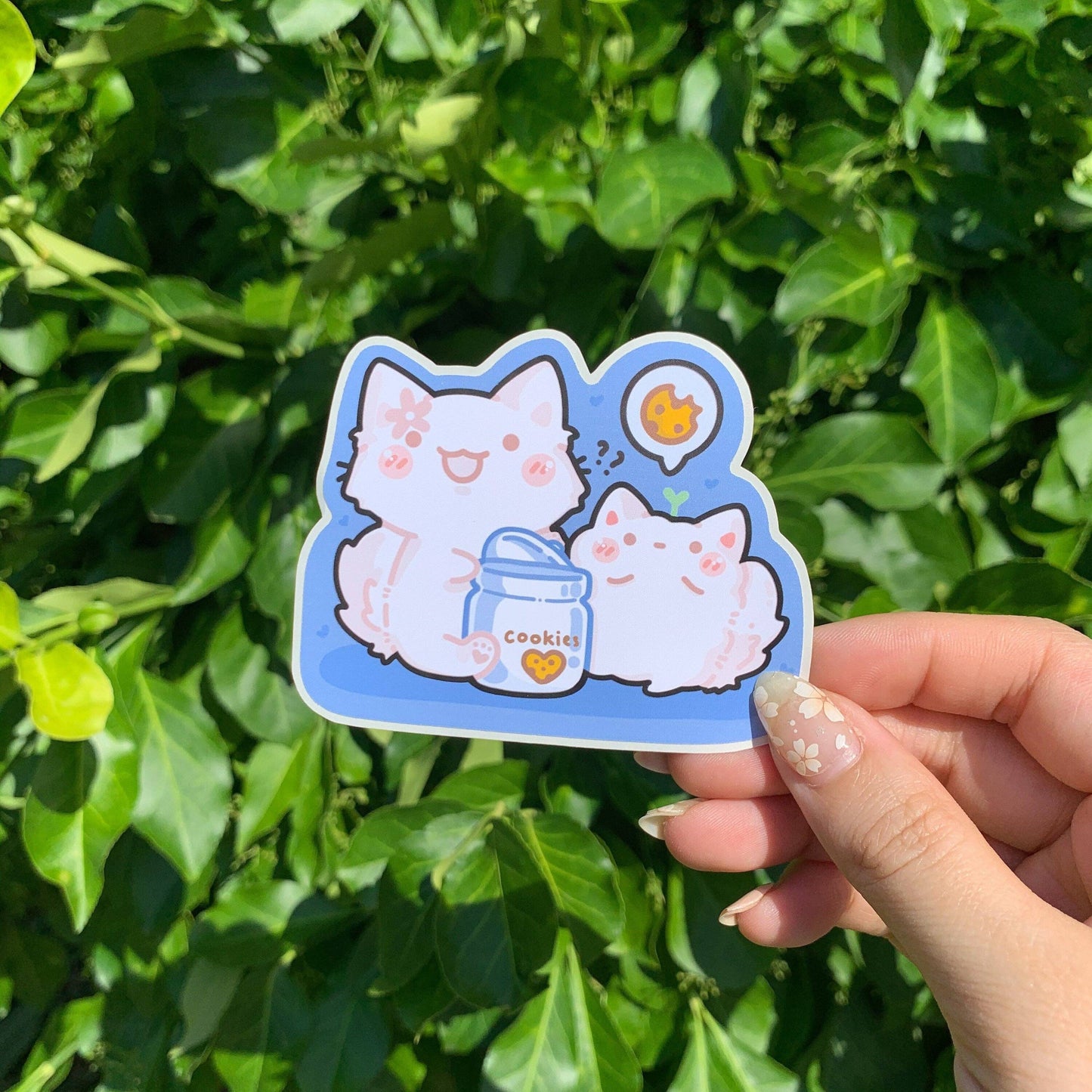 Doozi and Floof Cookie Jar Die Cut Sticker: Glossy W/S
